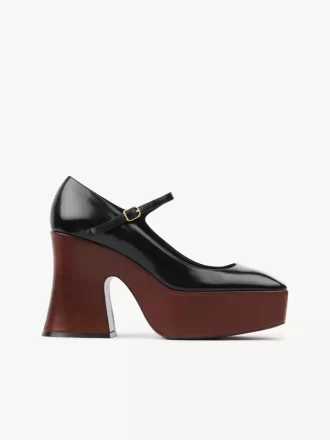 Janis platform pompası Janis platform pompası