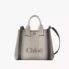 Küçük Chloé Carry kanvas tote çanta Küçük Chloé Carry kanvas tote çanta