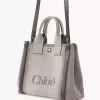 Küçük Chloé Carry kanvas tote çanta Küçük Chloé Carry kanvas tote çanta