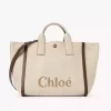 Rafia efektli elyaftan yapılmış Chloé Carry tote çanta Rafia efektli elyaftan yapılmış Chloé Carry tote çanta